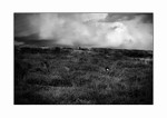 Moorland.