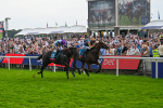 230825-Race 7-Dain Ma Nut In-0929