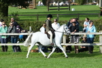 SBM_51946