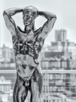 STATUE & SKYLINE - NYC