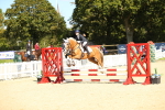 SBM_23959