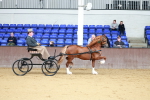 class 5 - Non Hackney Private Drive Over 13.2h portfolio