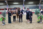 Class G - IH Large (over 148cm)Champ portfolio