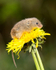 20140405-3K8A9819