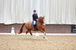 SBM_000923