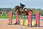 Cls 9 Foxhunter portfolio