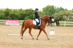 SBM_006291