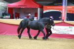 SBM_04201