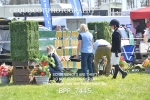 BPP_7445
