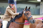 SBM_00816