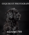equiscot1789