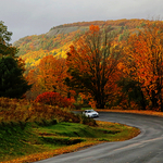 Awesome Autumn Foliage