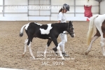 JAC_5974