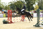 SBM_69178