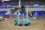 SBM_009140
