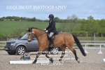 BPP_5957