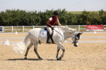 SBM_003512