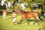 SBM_56857