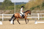 SBM_018636