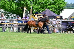 SBM_05900