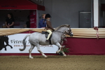 SBM_09275