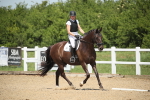 SBM_008884