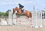 BPP_5282