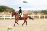 SBM_011419