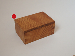 Ash box