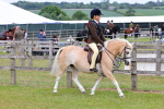 SBM_08485