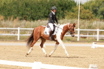 SBM_001590