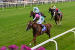 Race 3 14.35pm Sky Bet York Stakes portfolio