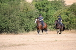 WJ6_7447