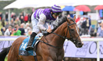 Race 6 16.45pm Mews Hotel Ossett EBF Stallions Nursery Handicap portfolio