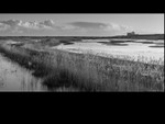 Black & White portfolio