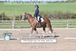BPP_8816