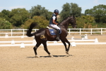 SBM_002824