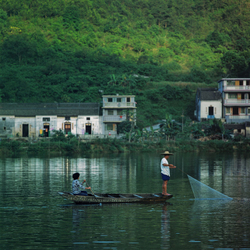 KM-205 Pulling in net near Shau Tau Kok - 1982