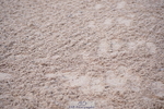 241027A-090444-01775