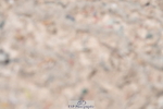 230520A-125508-00951