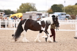 SBM_18428