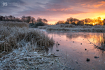 Frozen dawn, Avalon Marshes