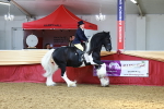 SBM_23331