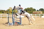 SBM_002947