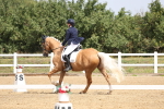 SBM_006135