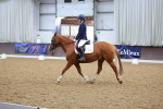 SBM_001258
