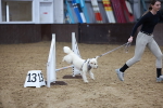 SBM_006078
