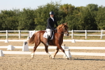 SBM_007052
