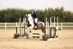 SBM_000366