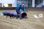 SBM_006393